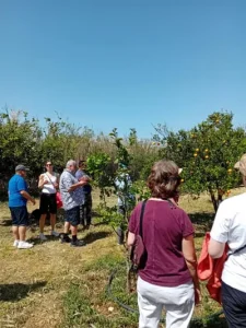 Farm Tour at Voulgaris Farm - Naxos