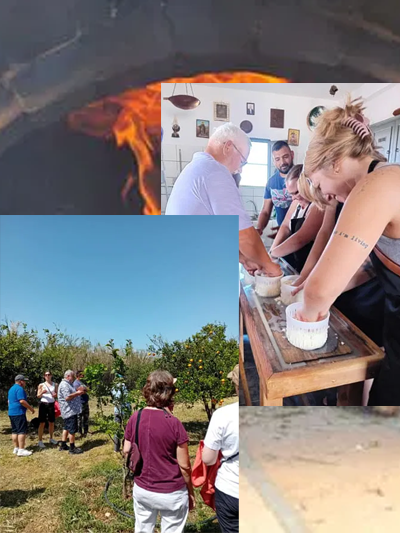 Cheese making and animal milking lessons + Cooking class + Farm Tour